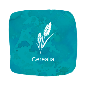 Cerealia, la agricultura en la Antigua Roma